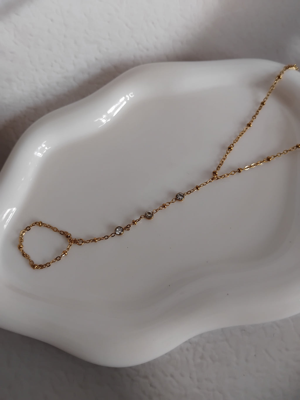 Animalon Grattoir à Sabot En Plastique Avec Brosse | Picker